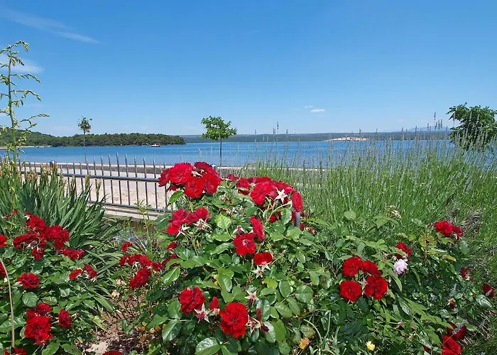 Ivana-3 By Interhome 아파트 Raslina